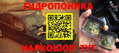 прущие грибы Гудермес