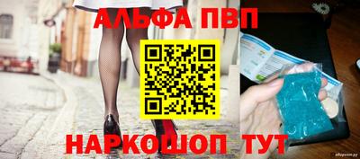 прущие грибы Гудермес
