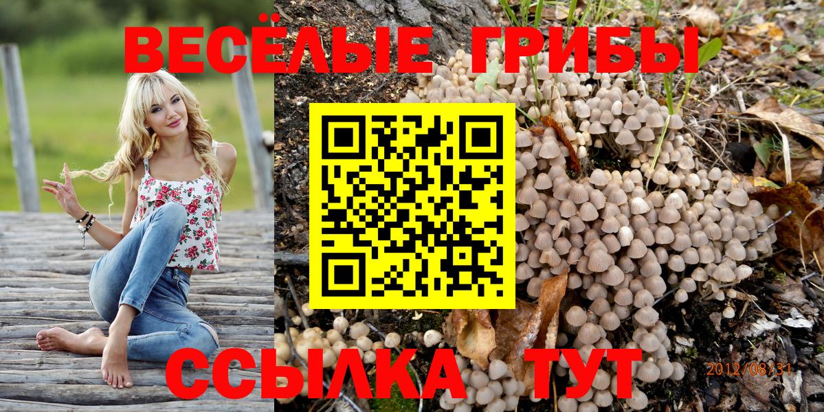 Пушкино  Галлюциногенные грибы прущие грибы  Галлюциногенные грибы прущие грибы  Вход с VPN 